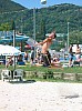 img_13.jpg